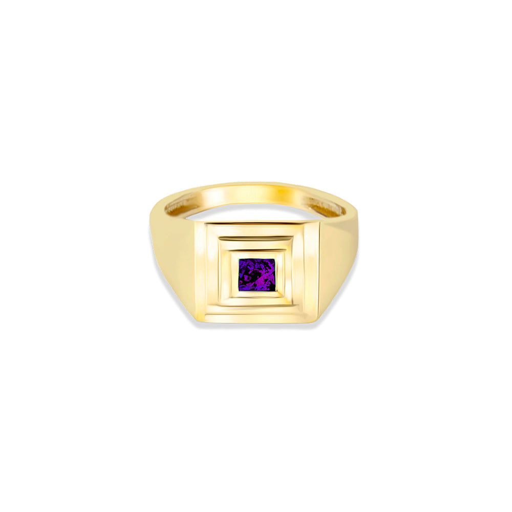 14K Gold Amethyst Signet Ring / Gift for Mom