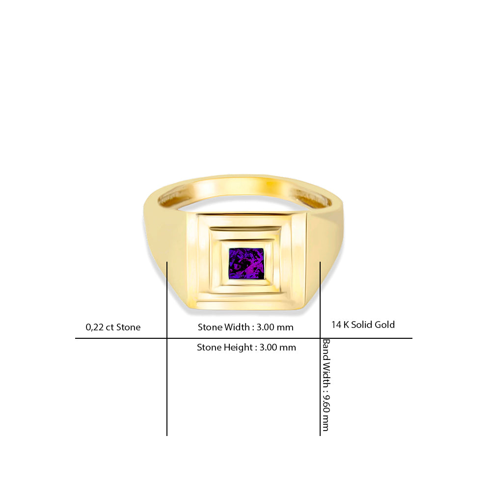14K Gold Amethyst Signet Ring / Gift for Mom